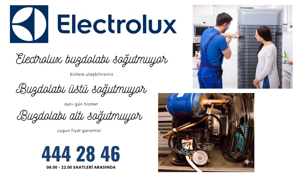 electrolux buzdolabı soğutmuyor