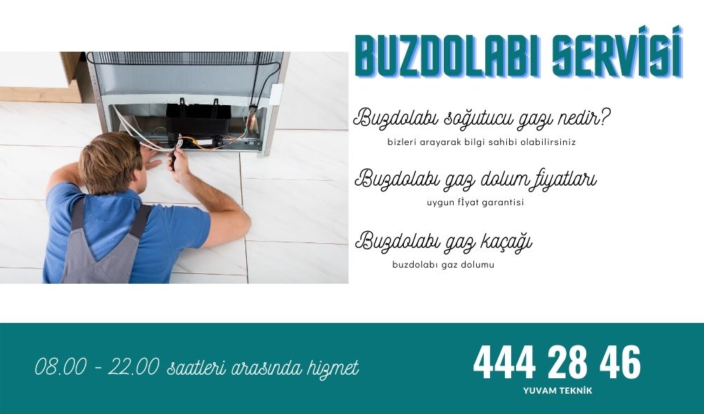 buzdolabı soğutucu gazı nedir